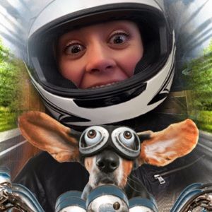 Meet your Posher, Jan